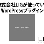 おすすめWPプラグイン、WPテーマを簡単に作成するツール？！など